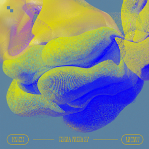 Basmati Bandit (Original Mix)