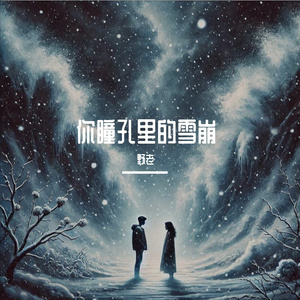 你瞳孔里的雪崩