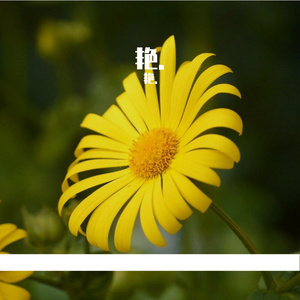 3月21日 (1)
