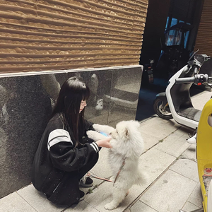 再也不见