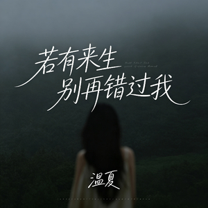 若有来生别再错过我