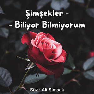 Biliyor Bilmiyorum