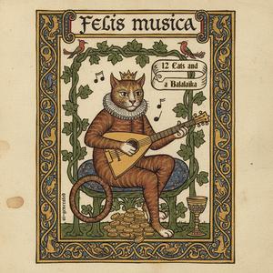 Feline on the Funk (11 Cat Remix)