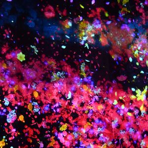 underwater (truthblind)