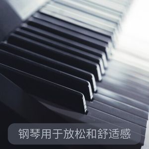 平静的回声