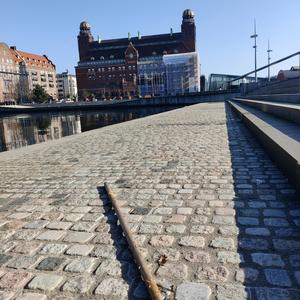 Tärningskast (Rast)
