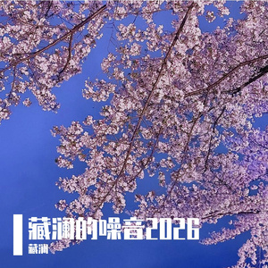 扑向名为你的焰火