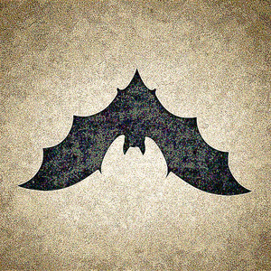 Never Give up on Your Passion