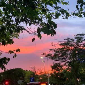 让我们一起歌唱