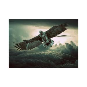 Aquila