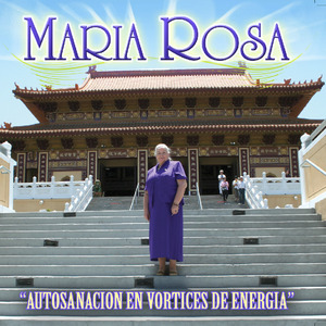Chakras Y Vortices