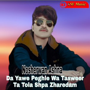 Da Yawe Peghle Wa Tasweer Ta Tola Shpa Zharedam