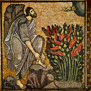 Altynai (Kyrgyz Mix)