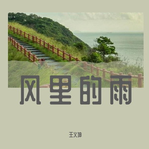 我的风里的雨