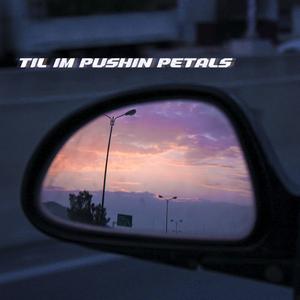 til i'm pushin petals