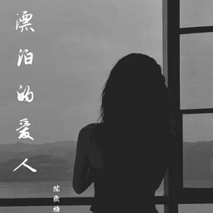漂泊的爱人