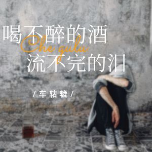 喝不醉的酒流不完的泪（车轱辘919版）