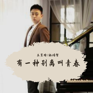 有一种别离叫青春 伴奏