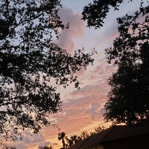 第二个十年 (prod by FRESH_ye)