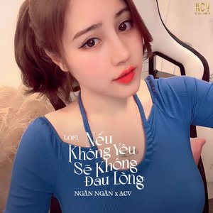 Nếu Không Yêu Sẽ Không Đau Lòng (Roller Lofi)
