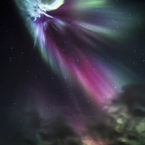 Pulsewidth (Live May 15th 2008) (Live)