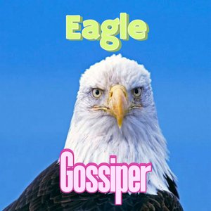 Gossiper