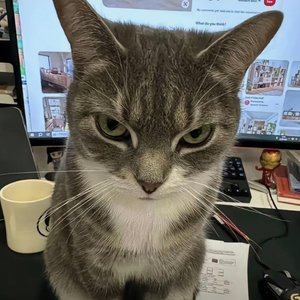 没门锁所以门没锁