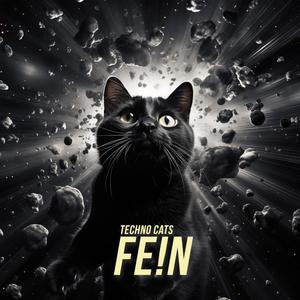 FE!N (Techno Remix)