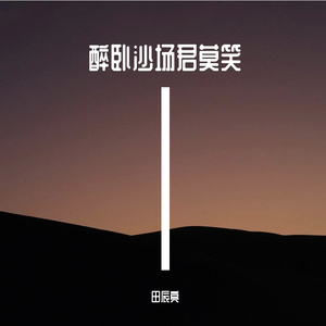 醉卧沙场君莫笑