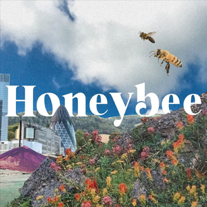 Honeybee