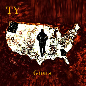 Gnats (Pressing On Freestyle)