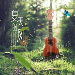 夏天的风（抖音）