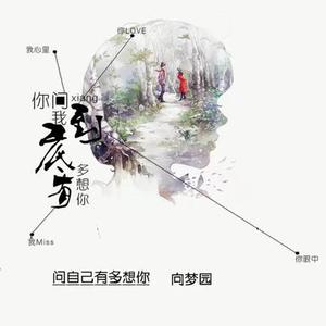 问自己有多想你