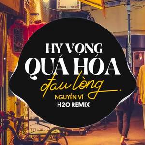 Hy Vọng Quá Hóa Đau Lòng Remix (Vinahouse)