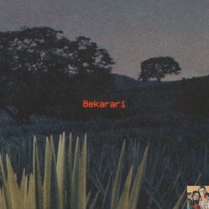 Bekarari