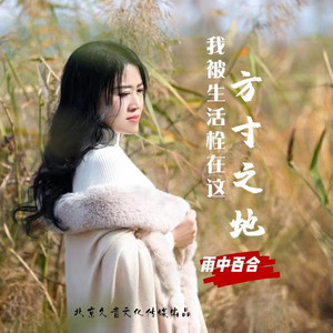 我被生活拴在方寸之地 (DJ版)