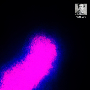 Paris (II - la résistance)