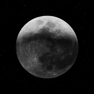 Montagem Nada Tropica