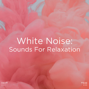 잠자는 팬 소리