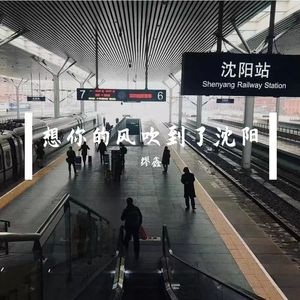 想你的风吹到了沈阳 (伴奏)