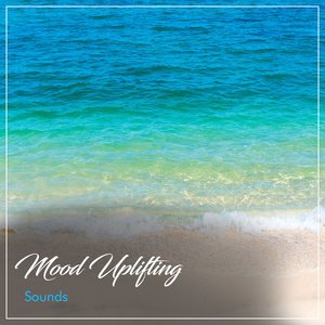 Concentration Regeration Alpha Waves