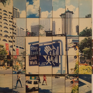 达尔文（cover蔡健雅）