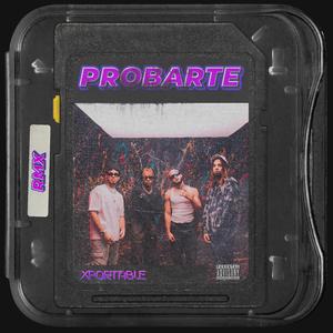 Probarte (feat. Xtyler Homie, OUGY, AARON 21, Fraimin Castle & Taybig) (Remix)