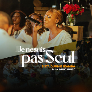 Je ne suis pas seul(e) [Live]