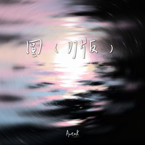 圆（DJ版）