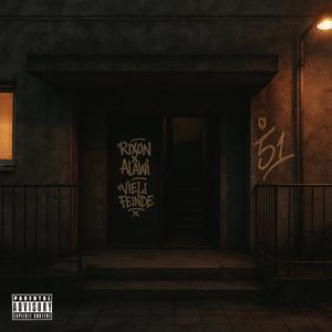 Vieli Feinde (feat. Alawi)