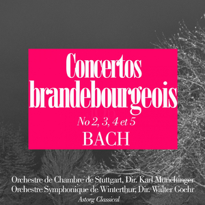 Brandenburg Concerto No. 5 In D Major, Bwv 1050: I. Allegro