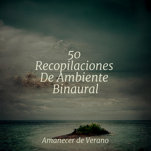 Explorando las Profundidades Abisales