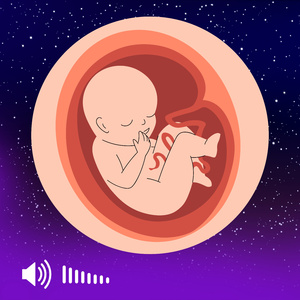 Som de Útero com Canção de Ninar