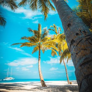 适合办公事务感觉音乐